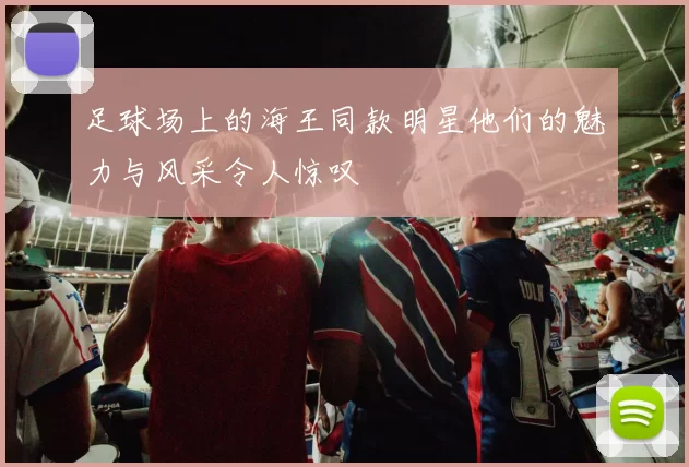足球场上的海王同款明星他们的魅力与风采令人惊叹