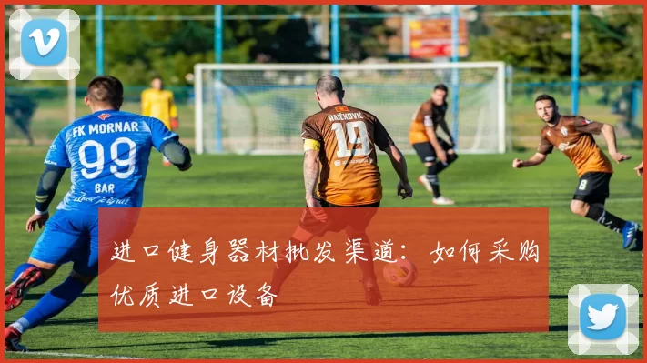 进口健身器材批发渠道：如何采购优质进口设备