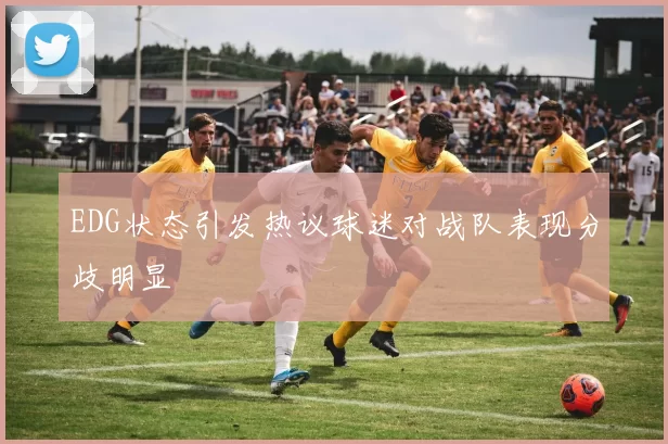 EDG状态引发热议球迷对战队表现分歧明显