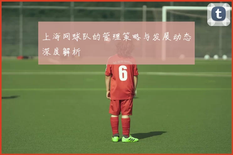 上海网球队的管理策略与发展动态深度解析