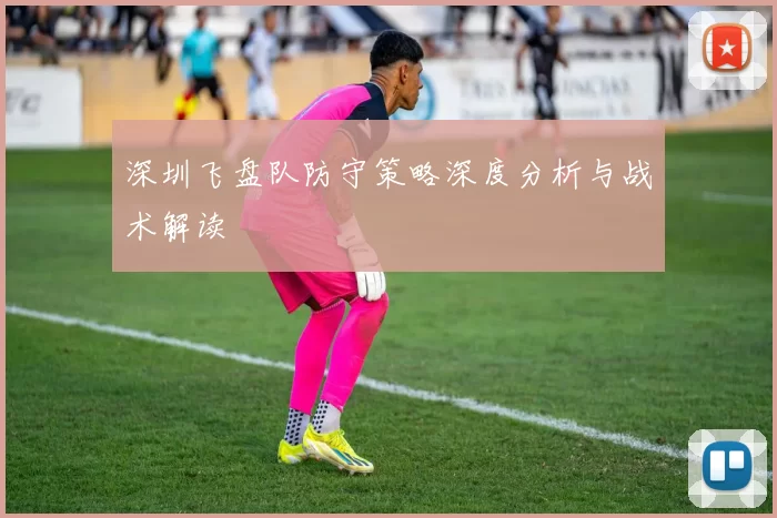 深圳飞盘队防守策略深度分析与战术解读