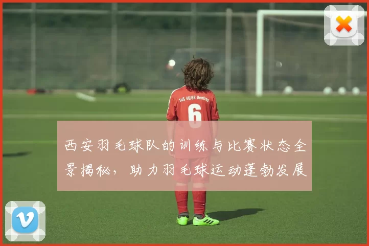 西安羽毛球队的训练与比赛状态全景揭秘，助力羽毛球运动蓬勃发展