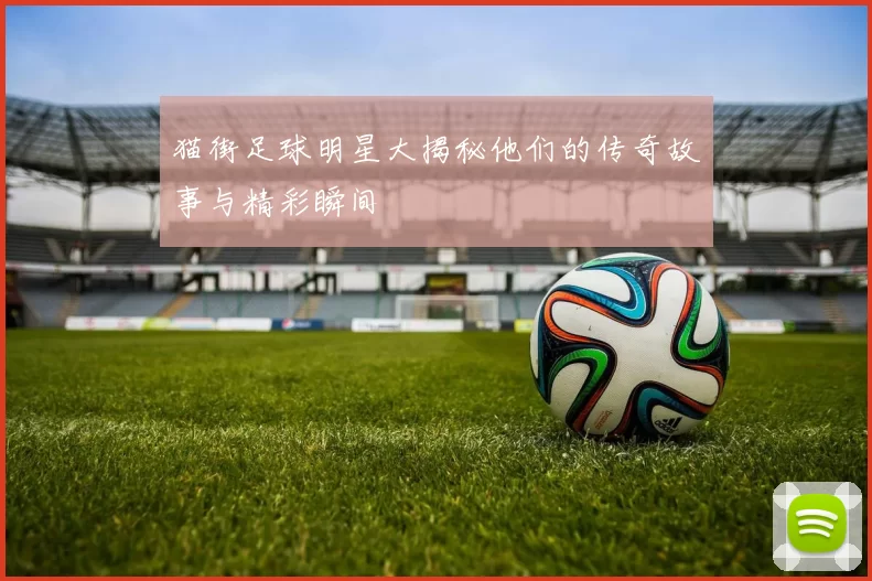 猫街足球明星大揭秘他们的传奇故事与精彩瞬间