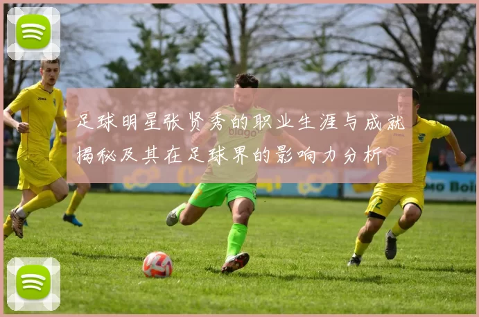 足球明星张贤秀的职业生涯与成就揭秘及其在足球界的影响力分析