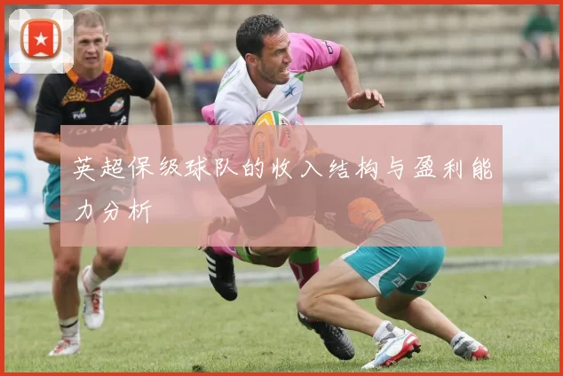 英超保级球队的收入结构与盈利能力分析