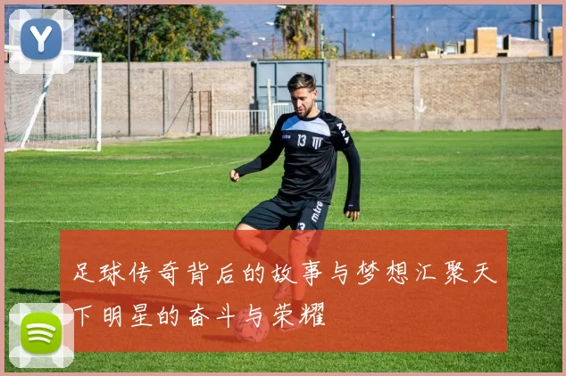 足球传奇背后的故事与梦想汇聚天下明星的奋斗与荣耀