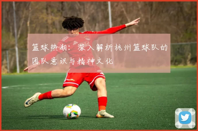 篮球热潮：深入解析杭州篮球队的团队意识与精神文化