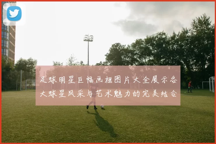 足球明星巨幅画框图片大全展示各大球星风采与艺术魅力的完美结合