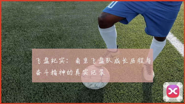 飞盘纪实：南京飞盘队成长历程与奋斗精神的真实记录