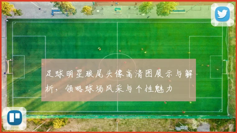 足球明星狼尾头像高清图展示与解析，领略球场风采与个性魅力