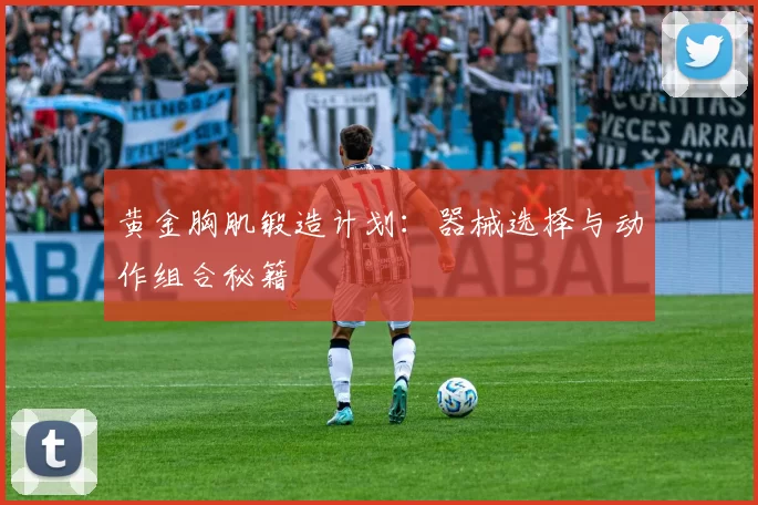 黄金胸肌锻造计划：器械选择与动作组合秘籍