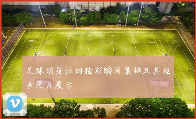 足球明星拉姆精彩瞬间集锦及其经典图片展示