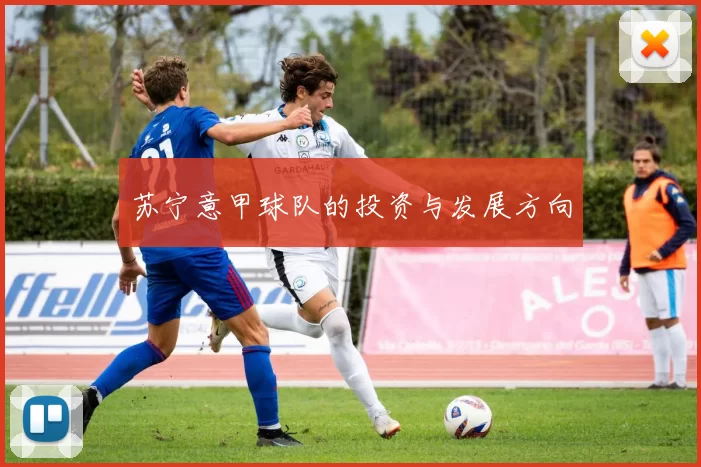苏宁意甲球队的投资与发展方向