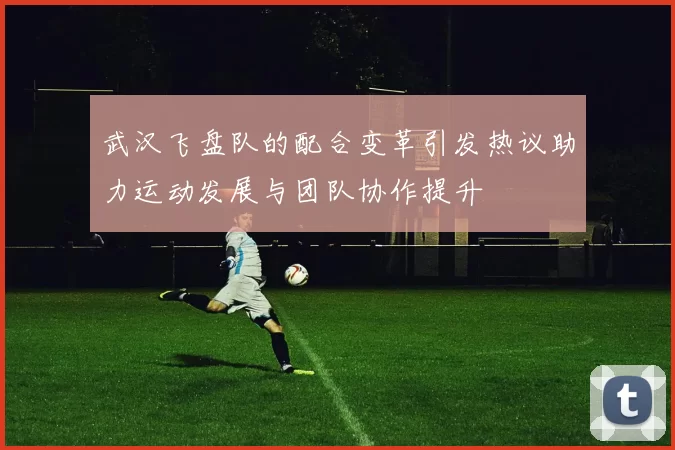 武汉飞盘队的配合变革引发热议助力运动发展与团队协作提升