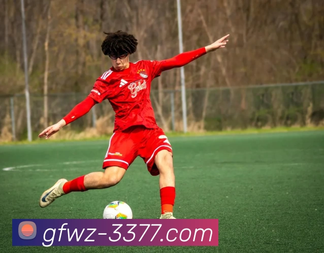 3377体育平台生态图